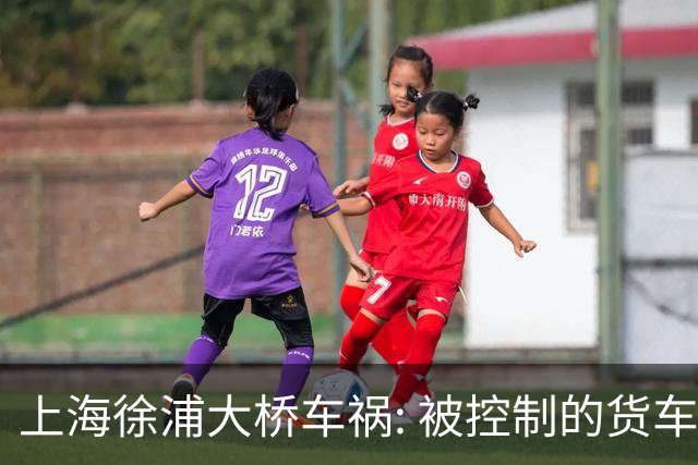 上海徐浦大桥车祸: 被控制的货车司机，和通报里“消失”的浙F白车