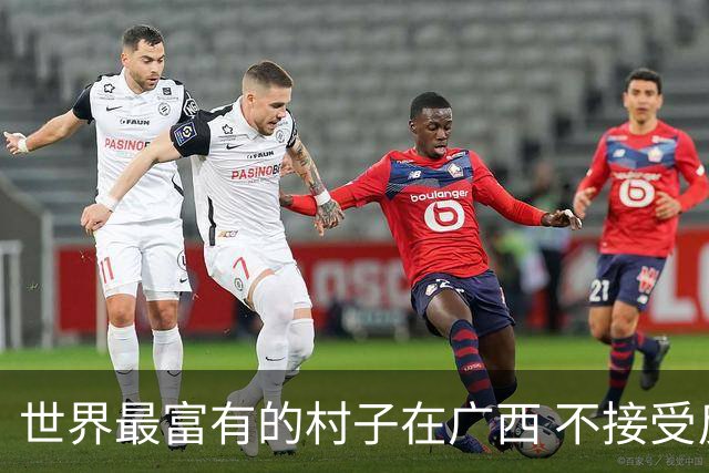 世界最富有的村子在广西 不接受反驳也让人无从反驳