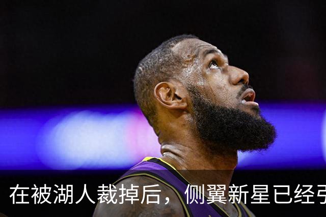 在被湖人裁掉后，侧翼新星已经引起了国王、森林狼和猛龙的关注？