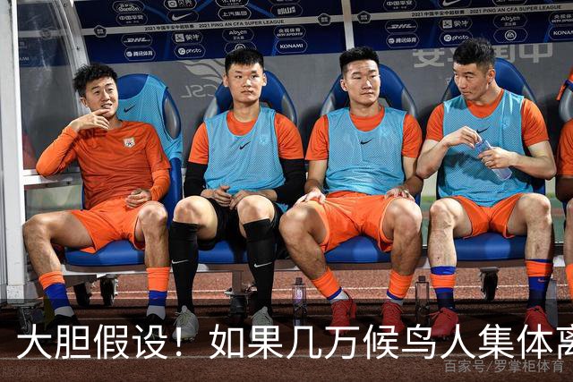 大胆假设！如果几万候鸟人集体离开坡月，后果真的不堪设想
