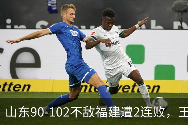 山东90-102不敌福建遭2连败，王岚嵚15+12，陶汉林19分