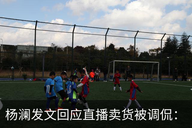 杨澜发文回应直播卖货被调侃：“大家不必担心，直播带货没有那么简单”