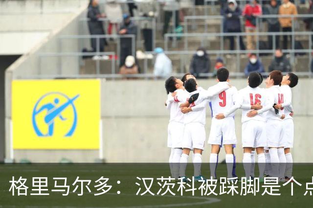 格里马尔多：汉茨科被踩脚是个点球，必须有人解释为何VAR没介入