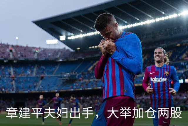 章建平夫妇出手，大举加仓两股