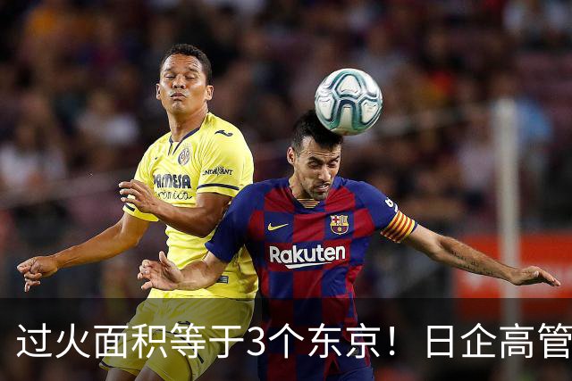 过火面积等于3个东京！日企高管引燃边境草原大火，日媒集体沉默