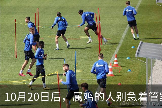 10月20日后，属鸡的人别急着管家里的事